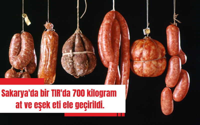 SAKARYADA BİR TIRDA 700 KİLOGRAM AT VE EŞEK ETİ ELE GEÇİRİLDİ.