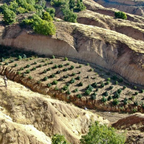 Uyuşturucu baronlarına köstebeklik yapan İlçe Jandarma Komutanı Binbaşı ve astsubay tutuklandı! Binbaşının eşi kadın astsubay ve yüzbaşı ise…