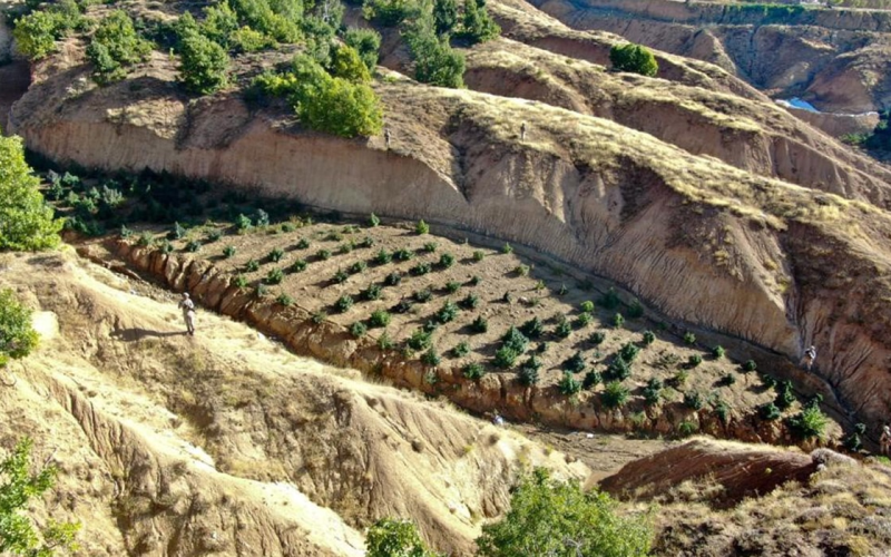 Uyuşturucu baronlarına köstebeklik yapan İlçe Jandarma Komutanı Binbaşı ve astsubay tutuklandı! Binbaşının eşi kadın astsubay ve yüzbaşı ise…